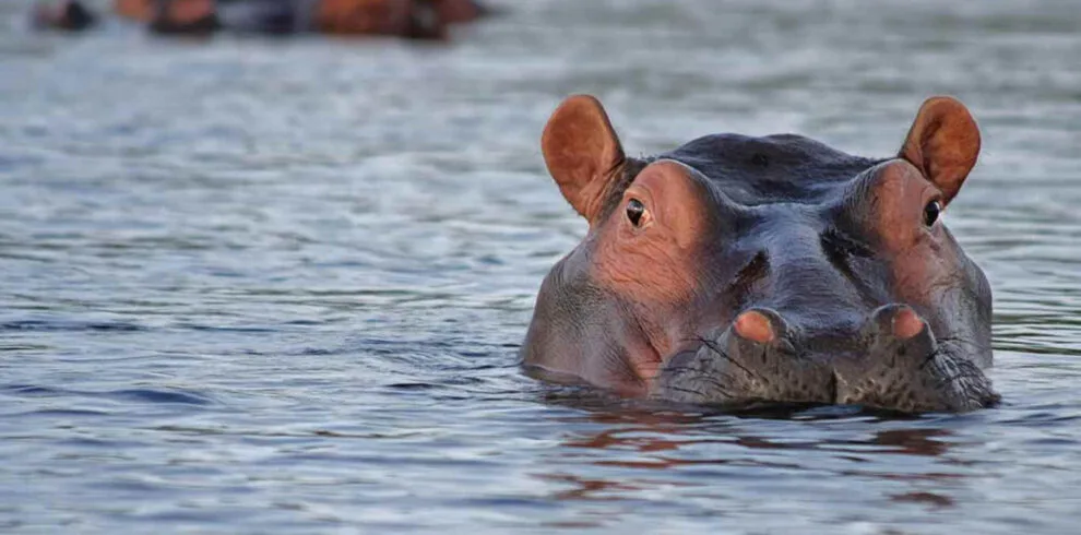 Katavi National Park