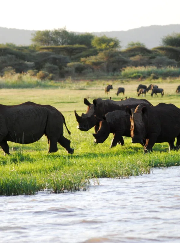 Mkomazi National Park