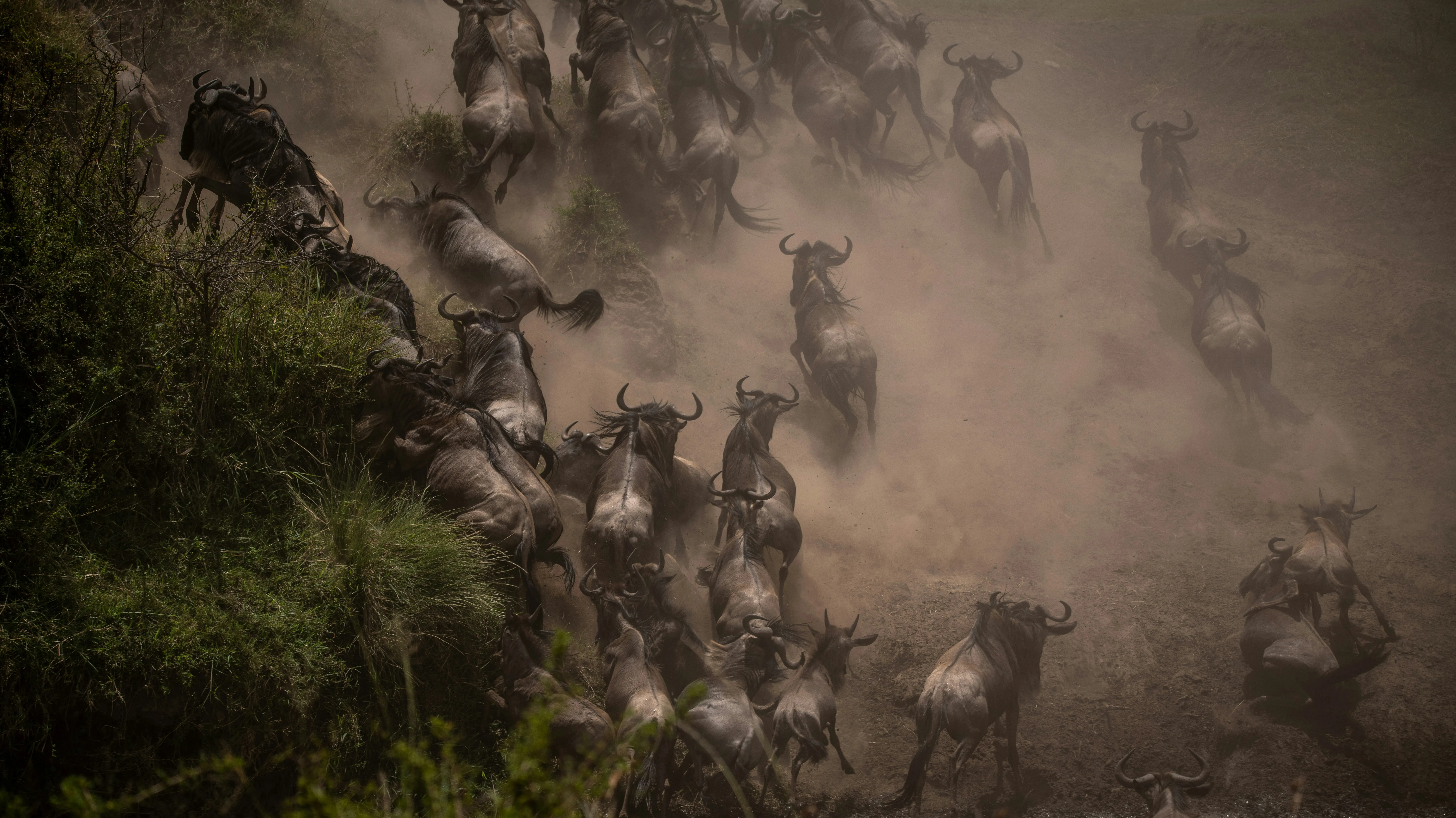 Great Migration