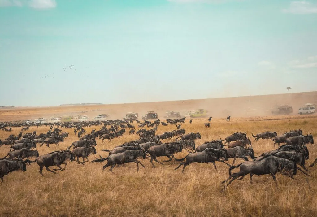 Great Migration