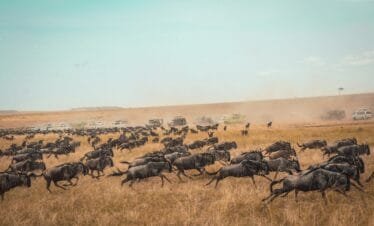 Great Migration