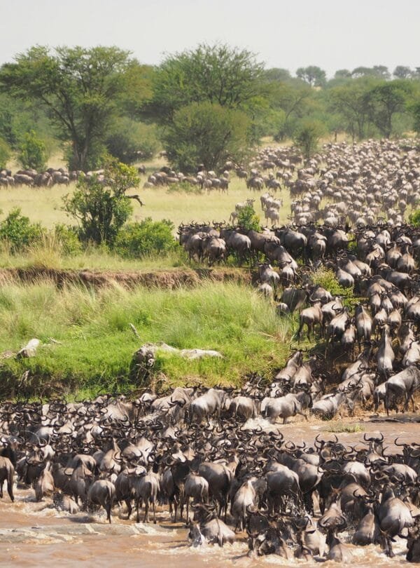 Great Migration