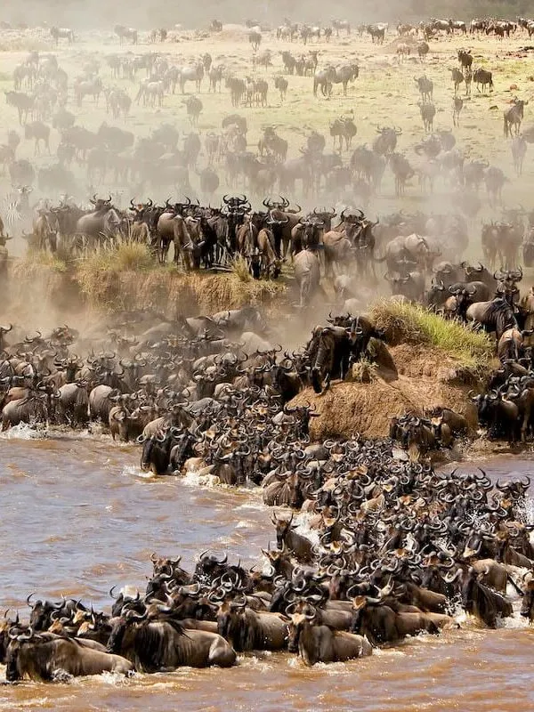 Maasai Mara