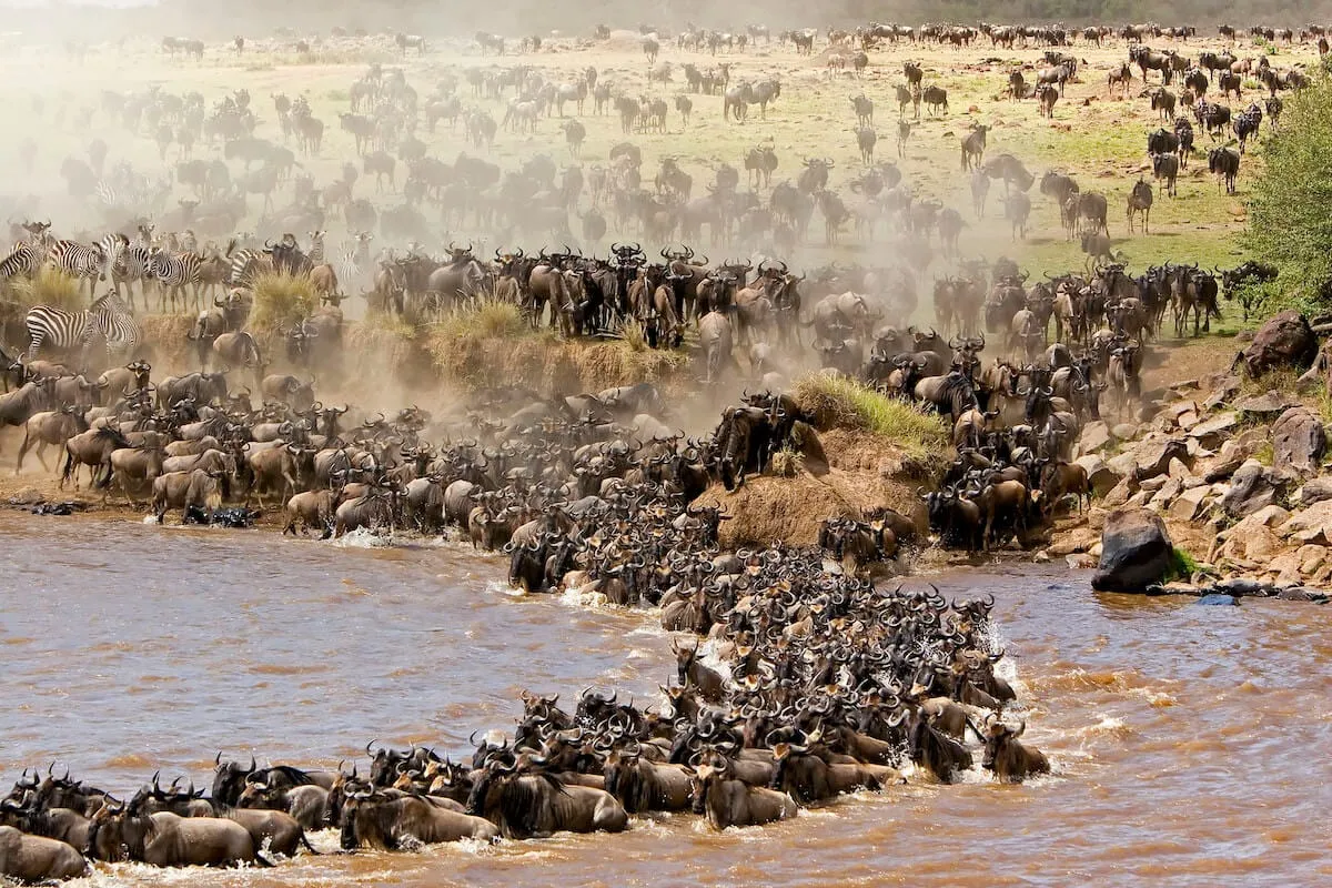 Maasai Mara