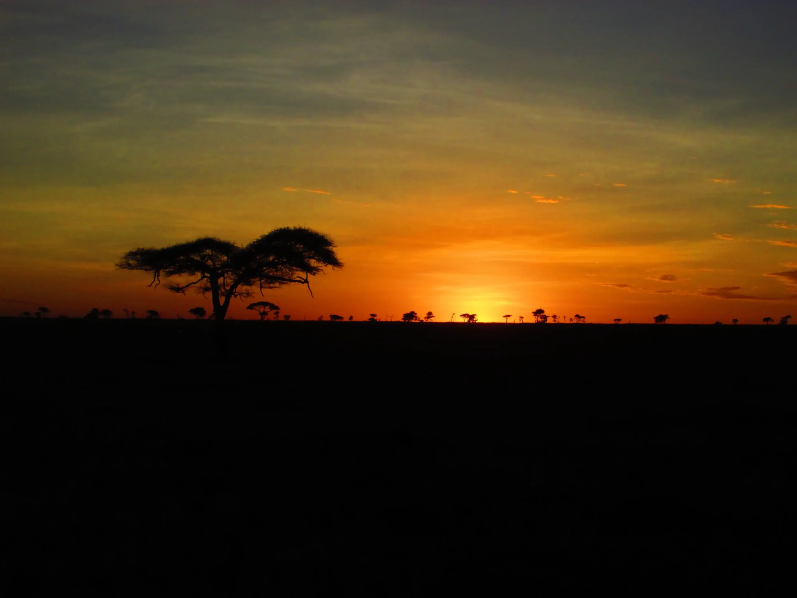 Sunset over the Serengeti plains on a Nyange Adventures safari