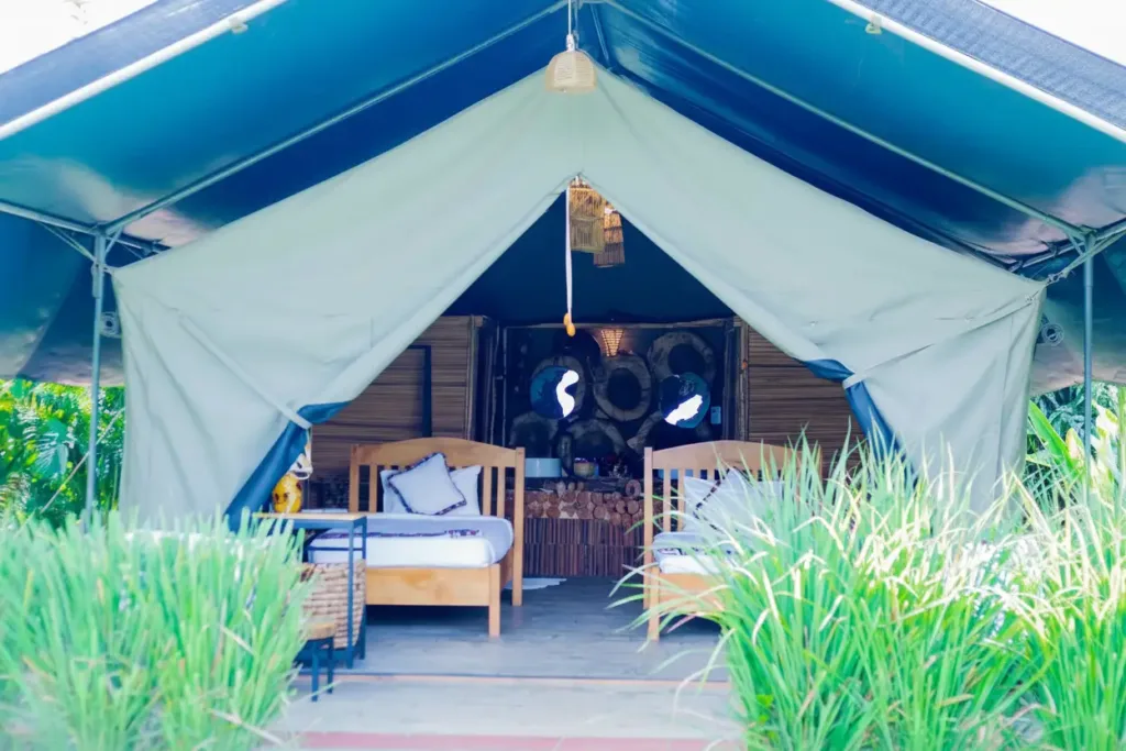 Budget Camping Safaris