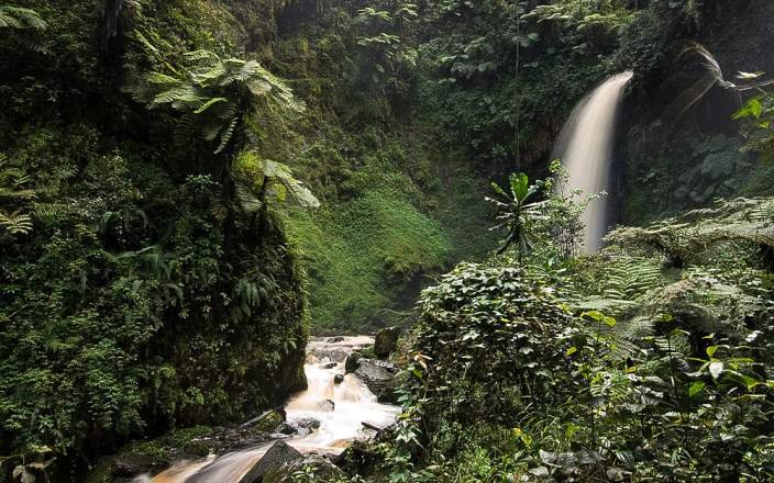 7-Day Rwanda Gorilla & Chimpanzee Safari