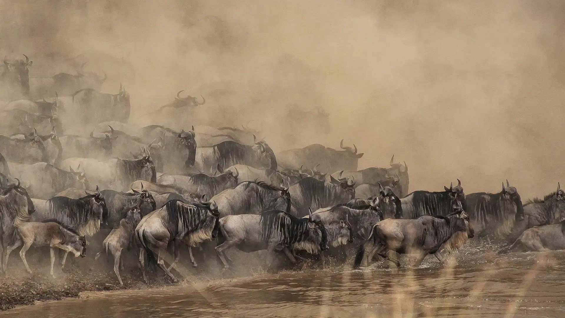 The Mara River in Tanzania's northern Serengeti at Kogatende, the main crossing point for the wildebeest migration